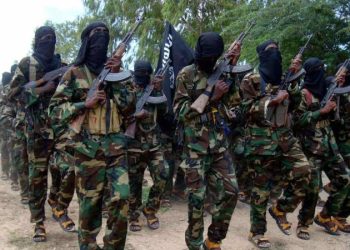 Republican senators move to block Somalia terror funding until allies pay ‘fair share’