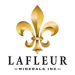 LaFleur Minerals Provides Swanson Gold Deposit and Beacon Mill Restart Update to Produce Gold and Announces Investor Call on June 5