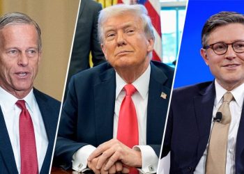 FLASHBACK: Musk accused Trump, GOP leaders of not wanting to cut spending — here’s where they said they would