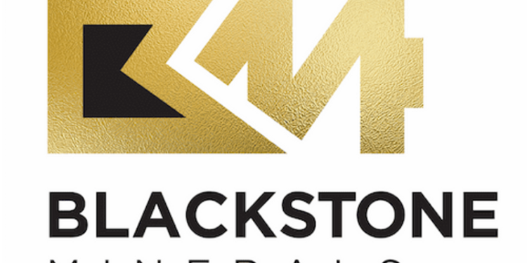 Blackstone Completes Share Purchase Plan
