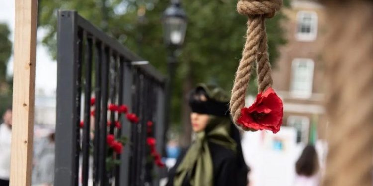 Anti-Iran regime protests grow across country as Trump admin boosts demonstrators offering support