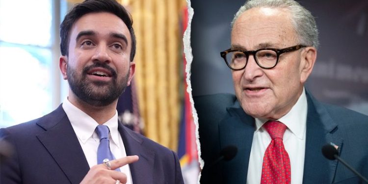 Schumer silent as Mamdani scraps antisemitism definition, synagogue security